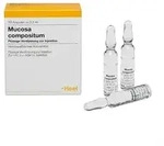 Mucosa compositum Ampullen 10 St.