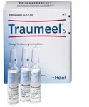 Traumeel S Ampullen 10 St.