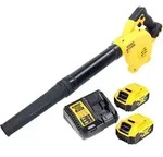 DeWalt DCV 100 P2 Akku Gebl&auml;se / Laubbl&auml;ser 18 V + 2x Akku 5,0 Ah + Ladeger&auml;t