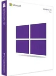Windows 10 Professional