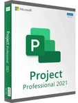 Microsoft Project 2021 Professional