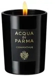 Osmanthus Candle