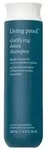 Clarifying Detox Shampoo