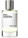 Rose Saltifolia E.D.P. Nat. Spray