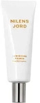 Luminizing Primer