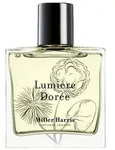 Lumi&egrave;re Dor&eacute;e EdP Nat. Spray