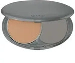 TOTAL FINISH FOUNDATION