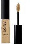 Teint Idole Ultra Wear All Over Concealer