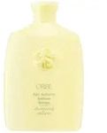Hair Alchemy Resilience Shampoo