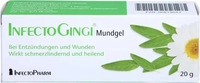 PZN-DE 06819043, INFECTOPHARM Arzn.u.Consilium InfectoGingi Mundgel 20 g, Grundpreis:
