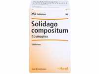 PZN-DE 04329079, Biologische Heilmittel Heel Solidago Compositum Cosmoplex Tabletten