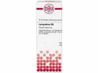 PZN-DE 01777340, DHU-Arzneimittel DHU Lycopodium D 6 Dilution 20 ml, Grundpreis: