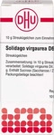 PZN-DE 02931487, DHU-Arzneimittel DHU Solidago virgaurea D 6 Globuli 10 g,