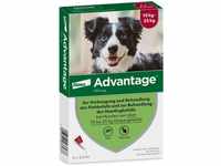 PZN-DE 08613328, Elanco Advantage für Hunde von 10-25 kg Lösung 4 St