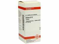 PZN-DE 01785629, DHU-Arzneimittel DHU Silicea D 12 Tabletten 80 St