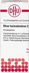 PZN-DE 04234255, DHU-Arzneimittel DHU Rhus toxicodendron C 12 Globuli 10 g,