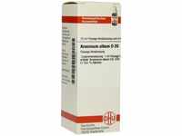 PZN-DE 04205354, DHU-Arzneimittel DHU Arsenicum album D 20 Dilution 20 ml,