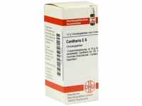 PZN-DE 04210042, DHU-Arzneimittel DHU Cantharis C 6 Globuli 10 g, Grundpreis:...