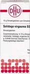 PZN-DE 02931458, DHU-Arzneimittel DHU Solidago virgaurea D 2 Globuli 10 g,