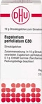 PZN-DE 02898459, DHU-Arzneimittel DHU Eupatorium perfoliatum C 30 Globuli 10 g,