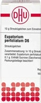 PZN-DE 02890179, DHU-Arzneimittel DHU Eupatorium perfoliatum D 6 G Globuli 10 g,