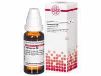 PZN-DE 04241551, DHU-Arzneimittel DHU Verbascum D 6 Dilution 20 ml, Grundpreis: