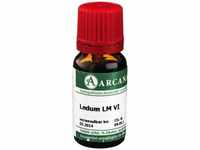 PZN-DE 02602631, ARCANA Dr. Sewerin Ledum Arcana LM 6 Dilution 10 ml,...