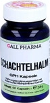 PZN-DE 00120431, Hecht-Pharma Schachtelhalm GPH Kapseln 34 g, Grundpreis: &euro;