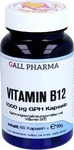 PZN-DE 15294697, Hecht-Pharma Vitamin B12 1000 &micro;g GPH Kapseln 16 g, Grundpreis: