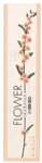 Kenzo Flower Ikebana Mimosa Edp Spray 75 ml G0020538354
