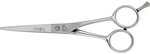 Haaro Joewell Schere Classic Offset 6.0 0019