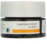 Dr. Hauschka Lippenpflege KOSMETIKUM 4,5 ml
