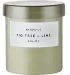 Valoa Duftkerze Agave Green L