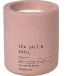 Fraga Sea Salt & Sage Duftkerze 11 cm