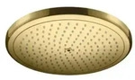 Hansgrohe Croma Kopfbrause Goldoptik 26220990