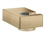 Hansgrohe Porter E Brausehalter Bronze 28387140