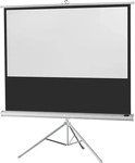 Celexon 1090276, celexon Stativleinwand Economy 16:9, 244 x 138 cm Projektionsfl&auml;che