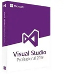 Microsoft Visual Studio 2019 Professional, ESD