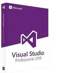 Microsoft Visual Studio 2019 Professional, ESD Download