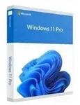 Microsoft Windows 11 Pro Sofortdownload