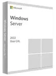 Microsoft Windows Server 2022 64-Bit CAL