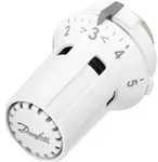 Danfoss F&uuml;hlerelement RAW-K 5030, eingebauter F&uuml;hler