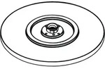hansgrohe Tellerkopfbrause Raindance 240 mm f. Raindance Showerpipe/Connect