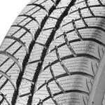 Wintermax NW611