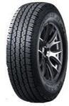 Roadian AT 4x4