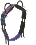 Longiergurt BU Double navy/passion pink WB