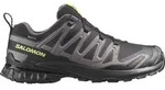 SALOMON SHOES XA PRO 3D V9 GTX Black/Dark G/Acid BLACK/DARK GULL GRAY/ACID LIME 45.5