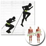 SCHILDKR&Ouml;T FITNESS SK Fitness SPEED TRAINER PRO (G&uuml;rte 