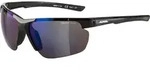 ALPINA DEFEY HR BLACK GLOSS 