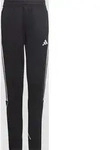 ADIDAS TIRO23 L PNT Y BLACK 152